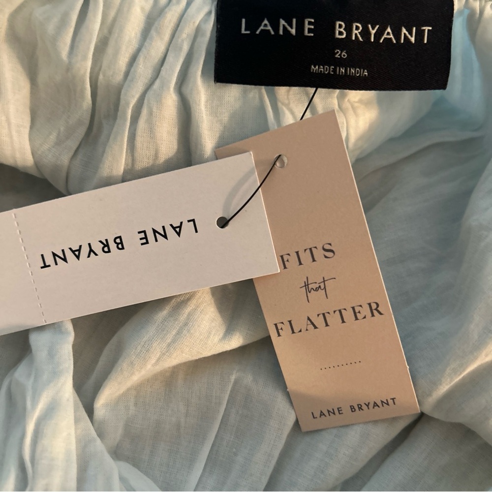 Lane Bryant - Picture 4 of 5